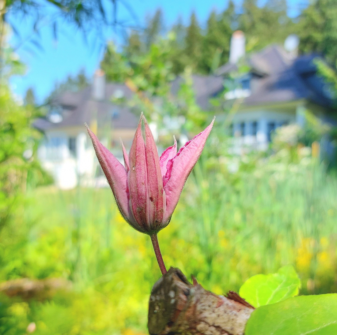 Foto: Martin Zehrer - Wunderschön!<br />
<br />
Tag der offenen Gartentür in Neusorg...<br />
<br />
Auf Entdeckungsreise im wunderschönen Garten-Paradies der Familie Gerhardinger-Dauber... 