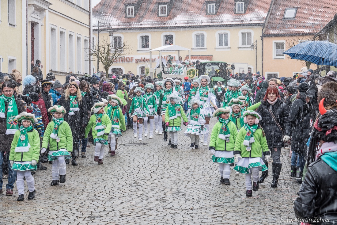 Foto: Martin Zehrer - Gaudi, Gaudi, Gaudi!!! Faschingszug des WCV durch Waldeck am 11. Februar 2018!  