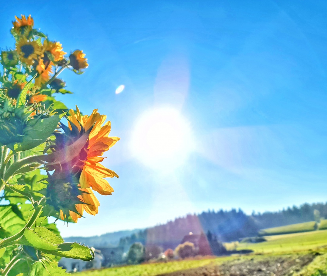 Foto: Jennifer Müller - Heut früh schien beim Aufwachen die Sonne so schön durchs Fenster, da konnten wir nicht anders... wir mussten einfach raus.<br />
Ab nach Godas und hoch zum Armesberg... 