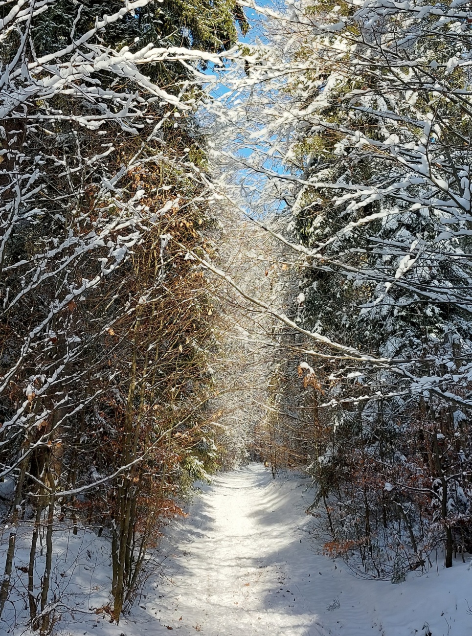 Foto: Martin Zehrer - Der Weg zur Kösseine hoch... 