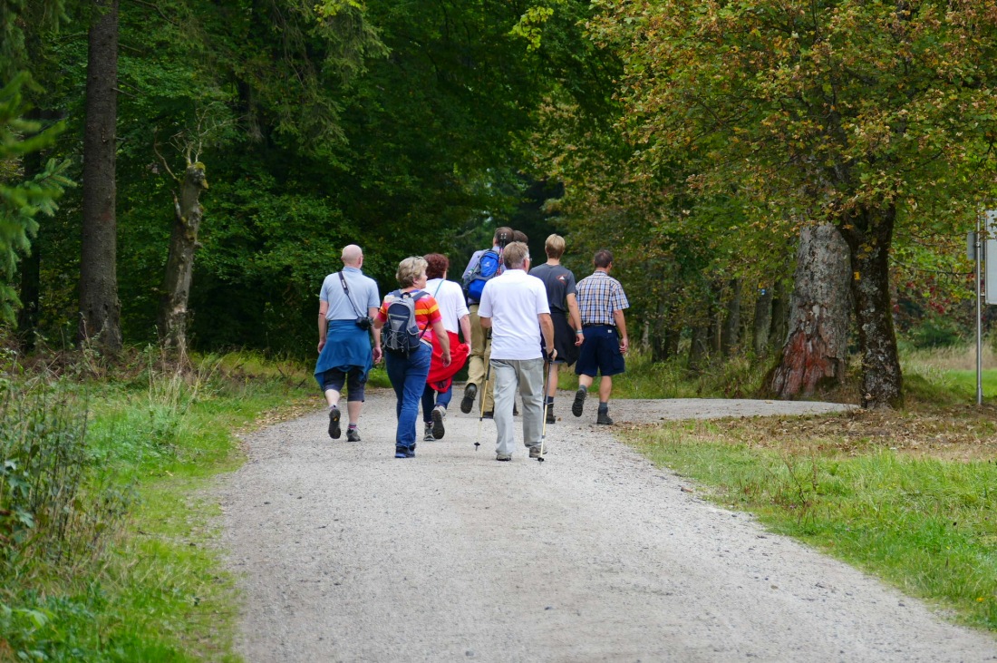 Foto: Martin Zehrer - Wandern im Steinwald<br />
<br />
Wanderer on tour... 