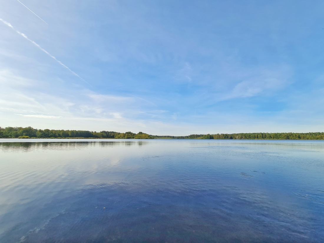 Foto: Jennifer Müller - Der Obersee (großer Rußweiher) in Eschenbach. Ein sehr sehenswertes Naturschutzgebiet in der Oberpfalz mit vielen verschiedenen Vogelarten und einer großartigen Landschaf 