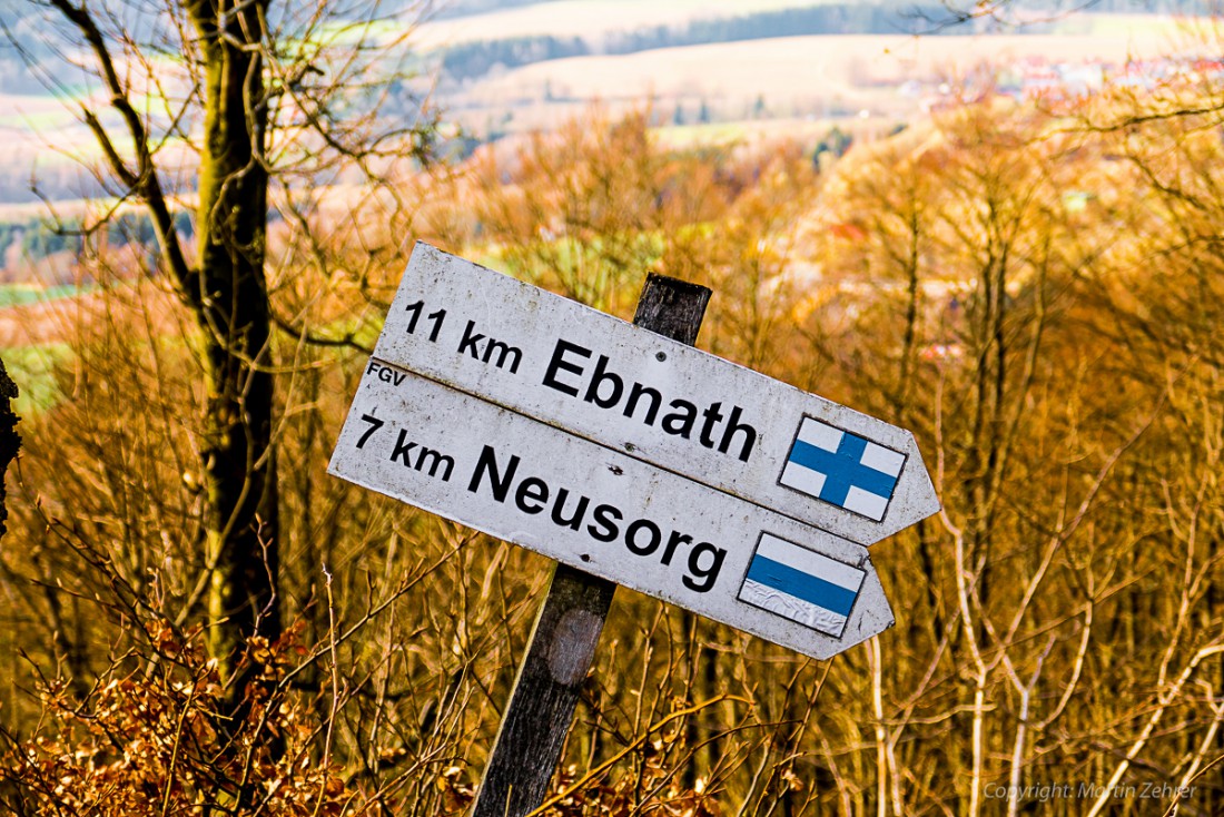 Foto: Martin Zehrer - Frühling auf dem Armesberg. Erste Hummeln fliegen durch die Gegend. Schmetterlinge lassen sich entdecken. Grüne kleine Pflanzen drücken mit aller Kraft durch das Herbstla 