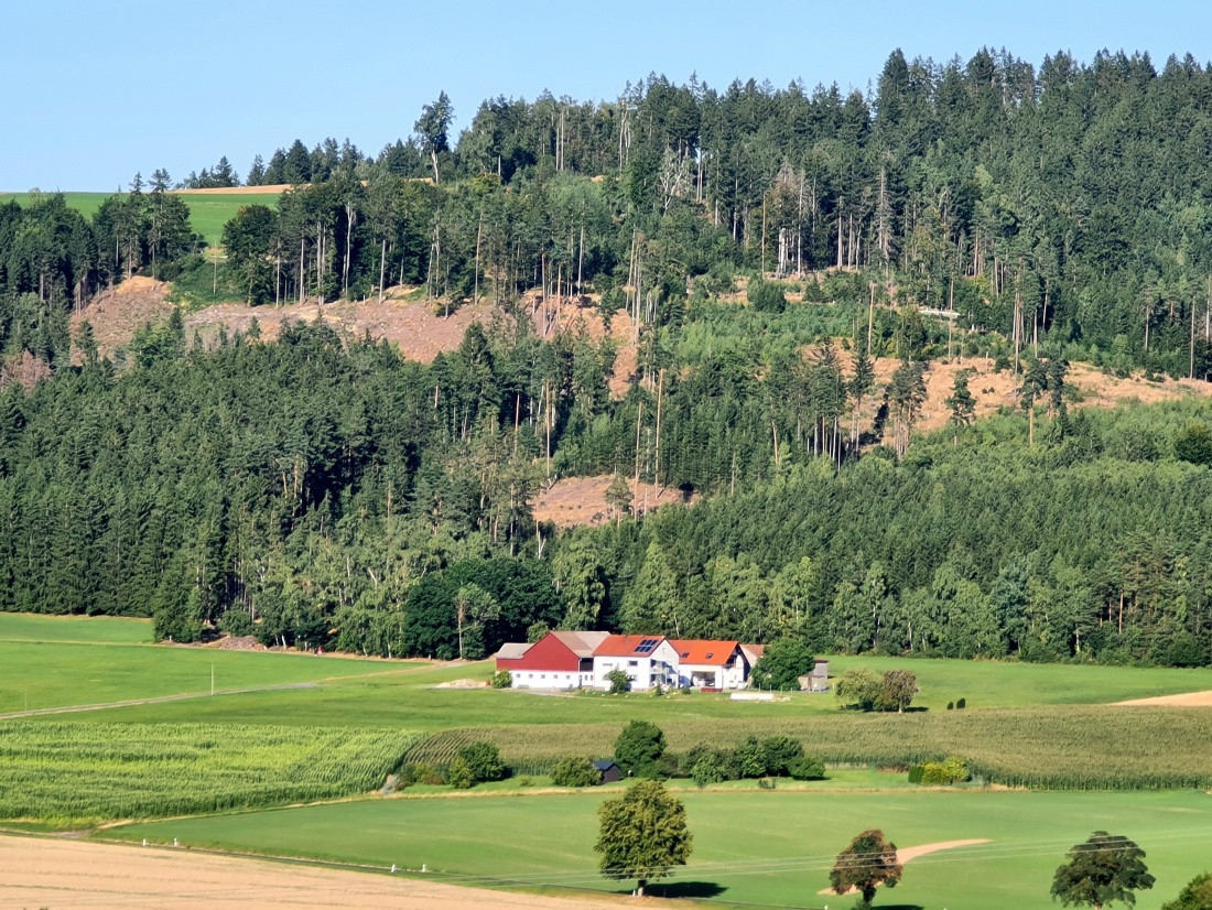 Foto: Maria - Auf dem Weg zum Anzenstein und der herrliche Blick über das wunderschöne kemnather Land 