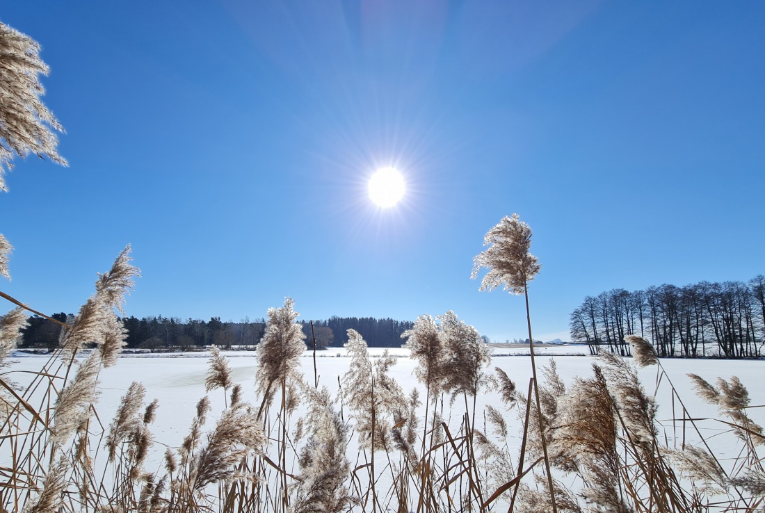 Foto: Jennifer Müller - Valentinstag 2021... Schöner könnte das Wetter nicht sein! Unterwegs zwischen Kulmain und Altensteinreuth... Sonne, ca. -3 Grad und nahezu windstill... Ein Traum! 