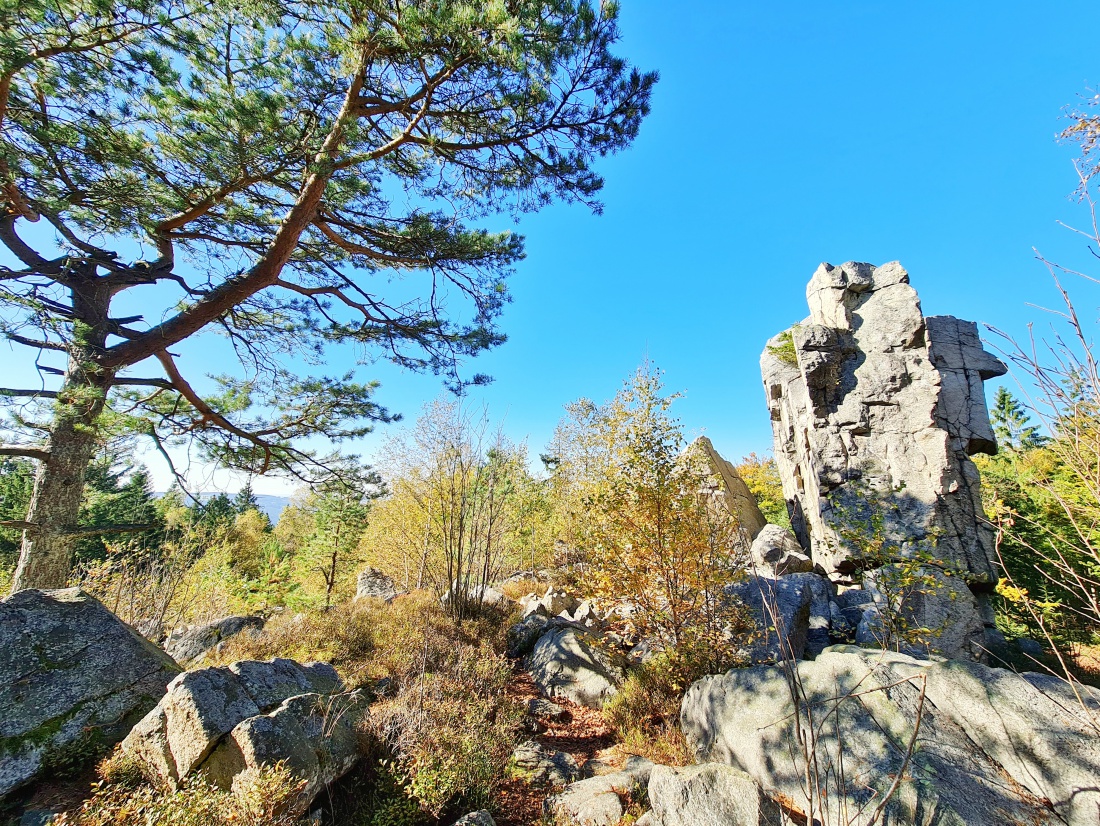 Foto: Jennifer Müller - Morgens Wandern in Godas und Nachmittags hoch zum Steinwald. Ein herrlicher Herbst-Sonnentag machte es uns unmöglich heut zuhause zu bleiben. Wir mussten einfach raus in  