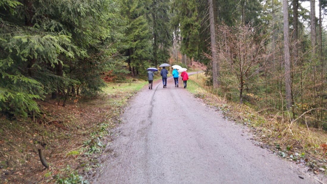 Foto: Martin Zehrer - Wandern im Regen. Gesehen am 17. April 2016 im Steinwald 