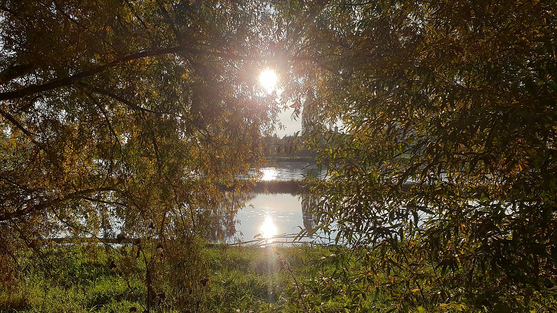 Foto: Martin Zehrer - Herbst-Sonne spiegelt sich auf der Donau...<br />
 