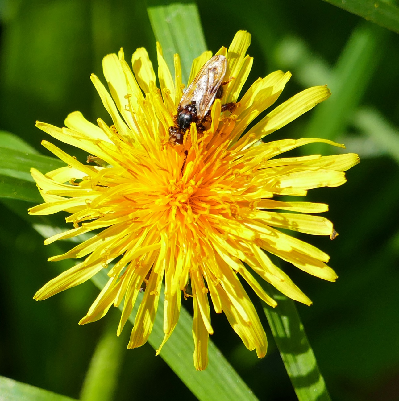 Foto: Martin Zehrer - Eine wunderbare Naturwelt, droben am Wildgehege bei Mehlmeisel. 