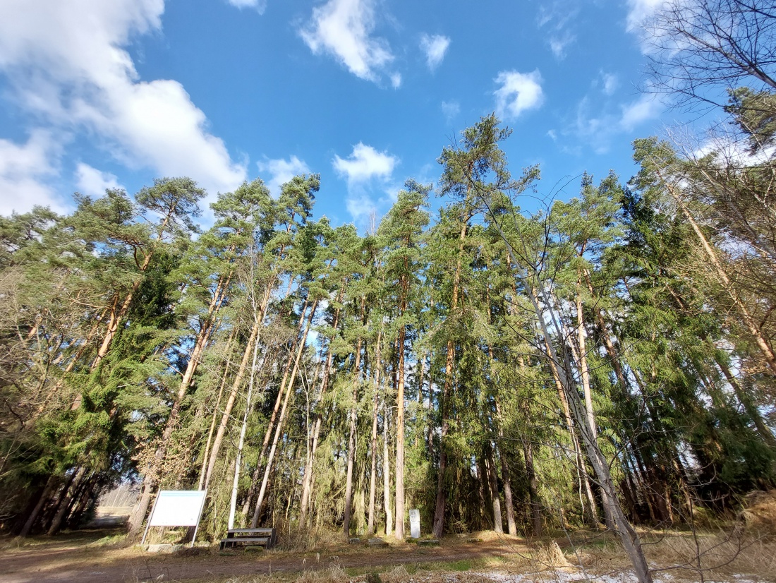 Foto: Martin Zehrer - Auf zur Himmelsleiter bei Tirschenreuth. Herrliches Wetter, beste Aussicht, der Frühling liegt in der frischen Luft. 