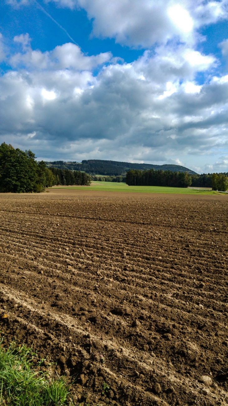 Foto: Martin Zehrer - Herbst-Momente... Es ist angesäht! ;-) 