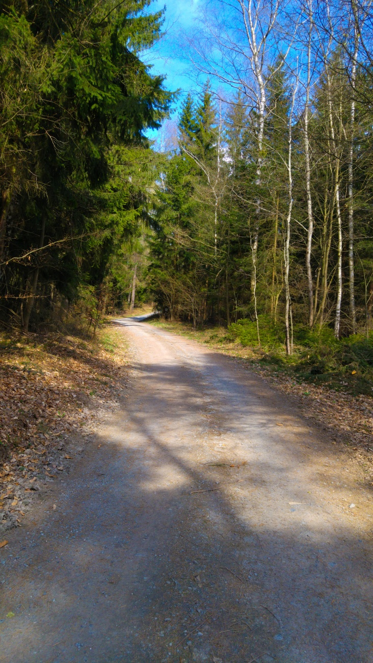 Foto: Martin Zehrer - Wandern von Kemnath zum Armesberg... Der Weg durch den Wald zwischen Neusteinreuth und Godas... 