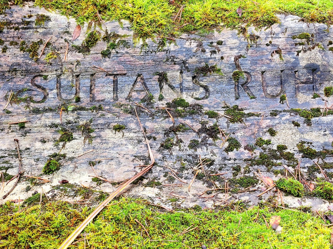 Foto: Martin Zehrer - Sultans Ruh...<br />
Im neusorger Wald fand hier ein Jagdhund seine letzte Ruh. 