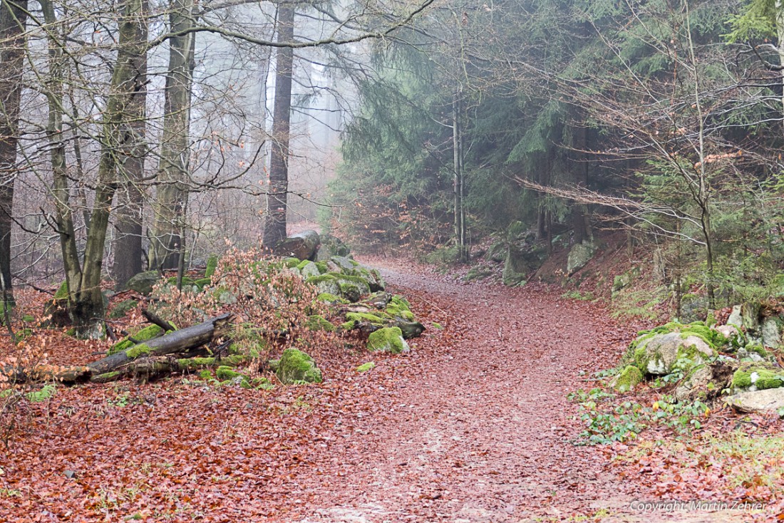 Foto: Martin Zehrer - Aufstieg zur Kösseine - Es gibt einen direkten, eher steileren Weg und einen breiteren, mehr flacheren Weg hoch zur Kösseine. Heute, am 20. Dezember 2015, war ein nebelig 
