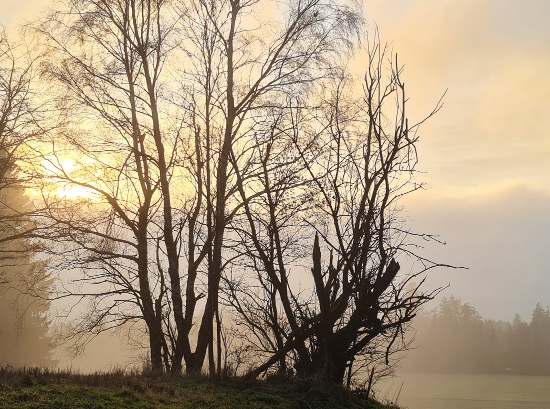 Foto: Jennifer M&uuml;ller - Heute hatten wir richtig Gl&uuml;ck! Die Sonne hat sich gezeigt... f&uuml;r einen kurzen Augenblick. Die Natur hat uns wunderbare Momente geschenkt.  