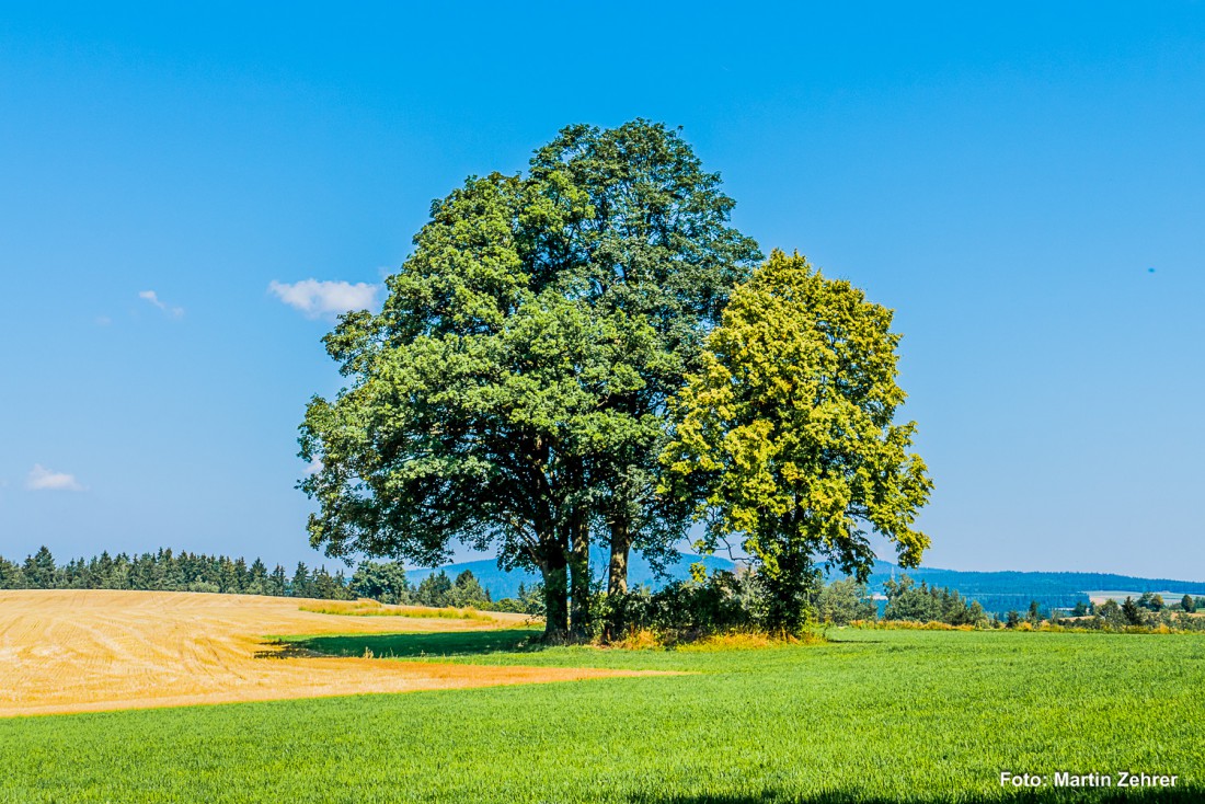 Foto: Martin Zehrer - Was für ein schöner Tag... 21. August 2015 bei Pullenreuth... 