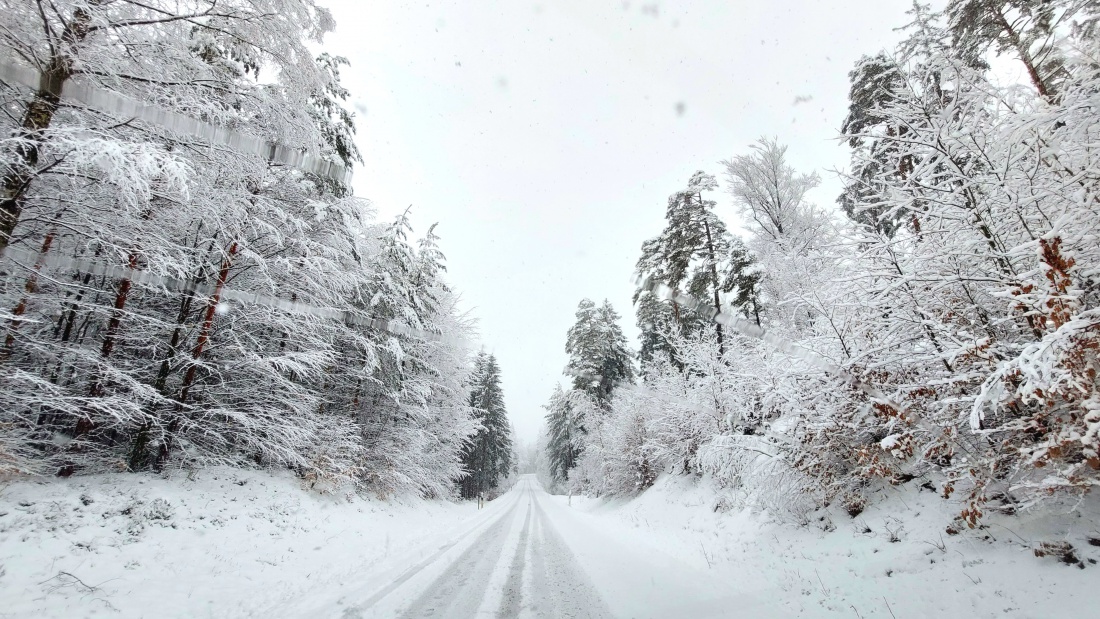 Foto: Martin Zehrer - Die Straße vom Hessenreuther Berg in Richtung Albenreuth. <br />
<br />
Wunderbar verschneite Bäume bei ca. +1 Grad Temperautur.<br />
Es schneite schon Vormittags, dieses Foto entstand 