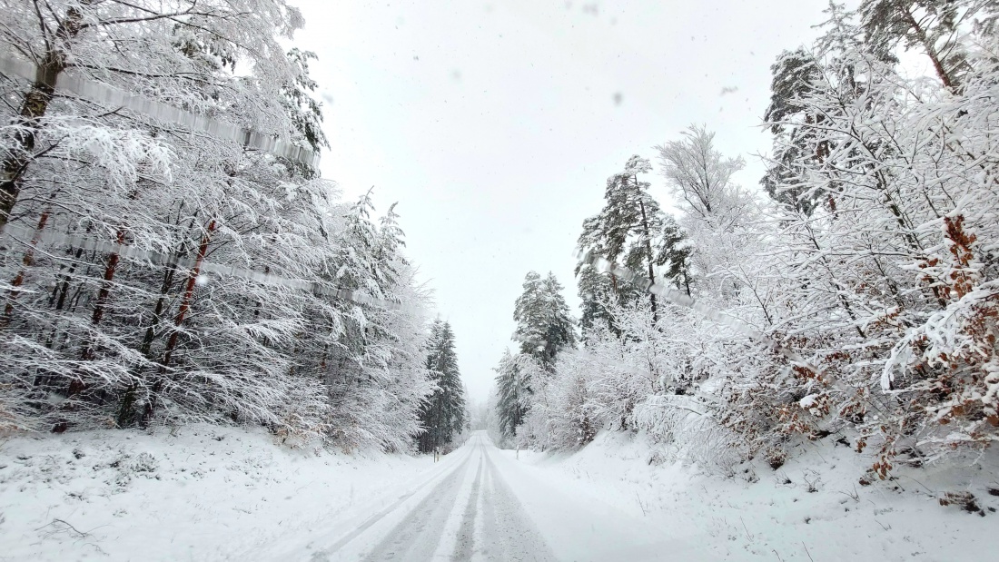 Foto: Martin Zehrer - Die Straße vom Hessenreuther Berg in Richtung Albenreuth. <br />
<br />
Wunderbar verschneite Bäume bei ca. +1 Grad Temperautur.<br />
Es schneite schon Vormittags, dieses Foto entstand 