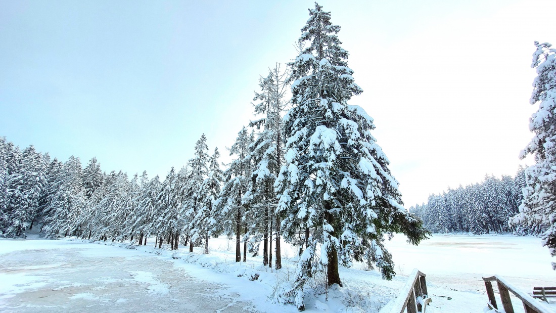 Foto: Martin Zehrer - Winter-Wanderung um den Fichtelsee: <br />
<br />
Wie im Märchen! 