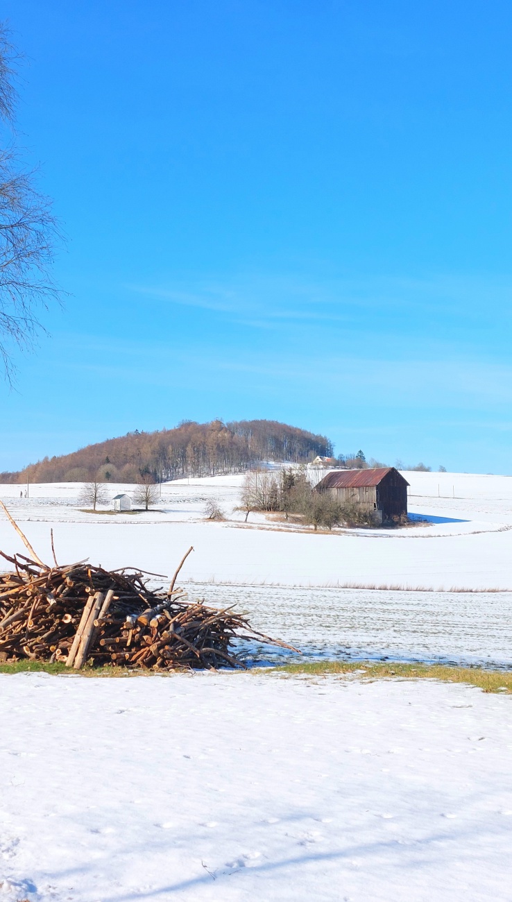 Foto: Martin Zehrer - Wunderschöne Winterlandschaft: Der Blick zum Armesberg hoch... 
