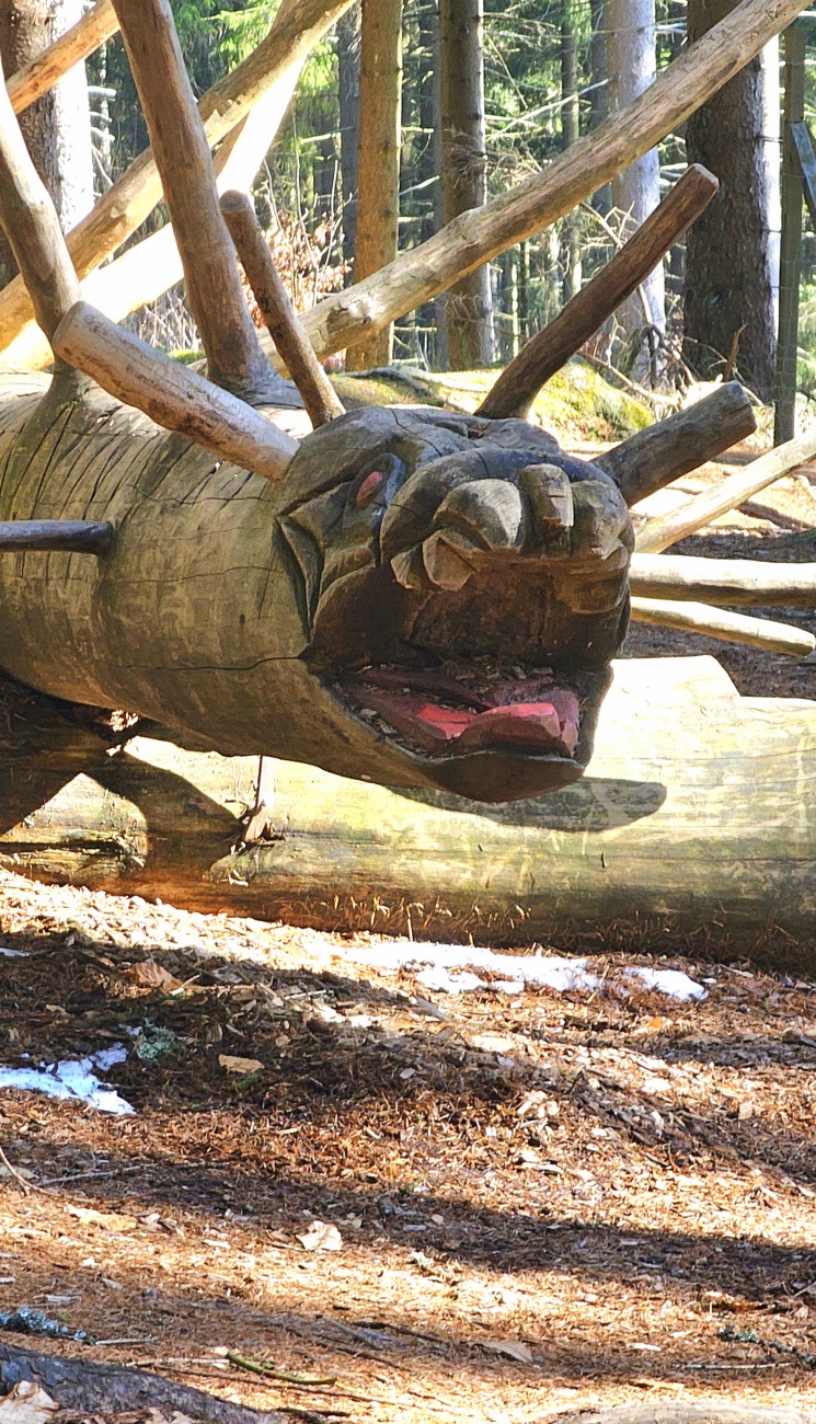 Gefährliche Holzmonster im Wald am Fichtelsee.
Extra für Jung und Alt zum klettern bereit...
