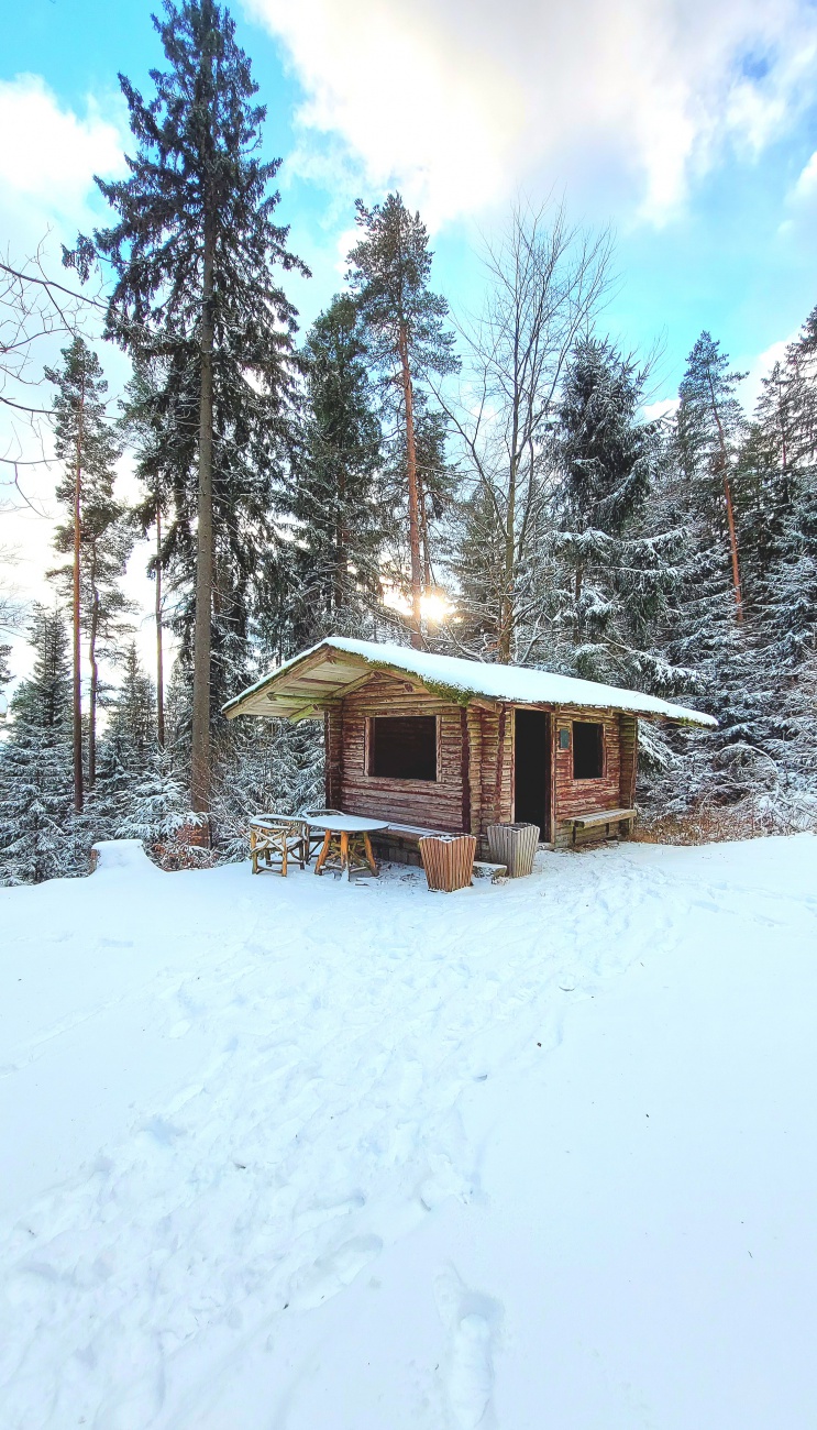 Wanderhütte am Hackelstein bei Fuchsmühl im Wald. 