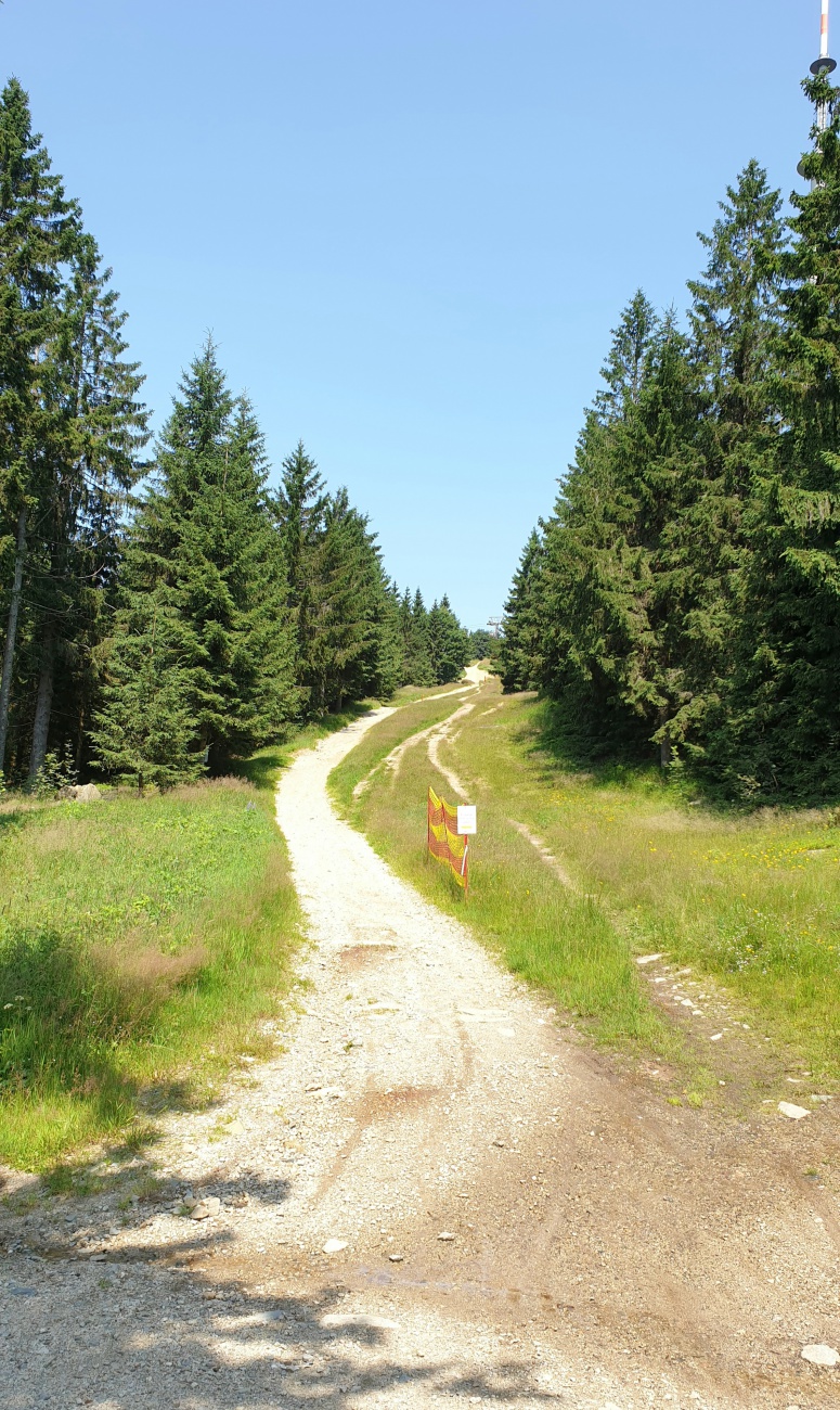 Foto: Martin Zehrer - Ochsenkopf-Wandern:<br />
<br />
Fast oben, die downhill-Strecke für biker ist zu erkennen... 