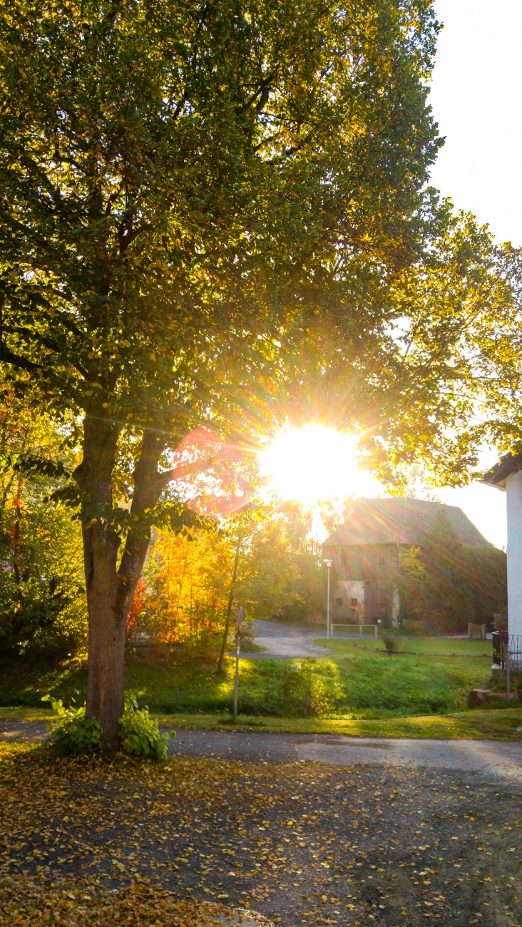 Foto: Martin Zehrer - Samstag, 13. Oktober 2018...<br />
<br />
So begrüßt uns heute die Sonne am Morgen in Kemnath. 20-25 Grad Wärme meldete das Radio für den Tag... ;-) 