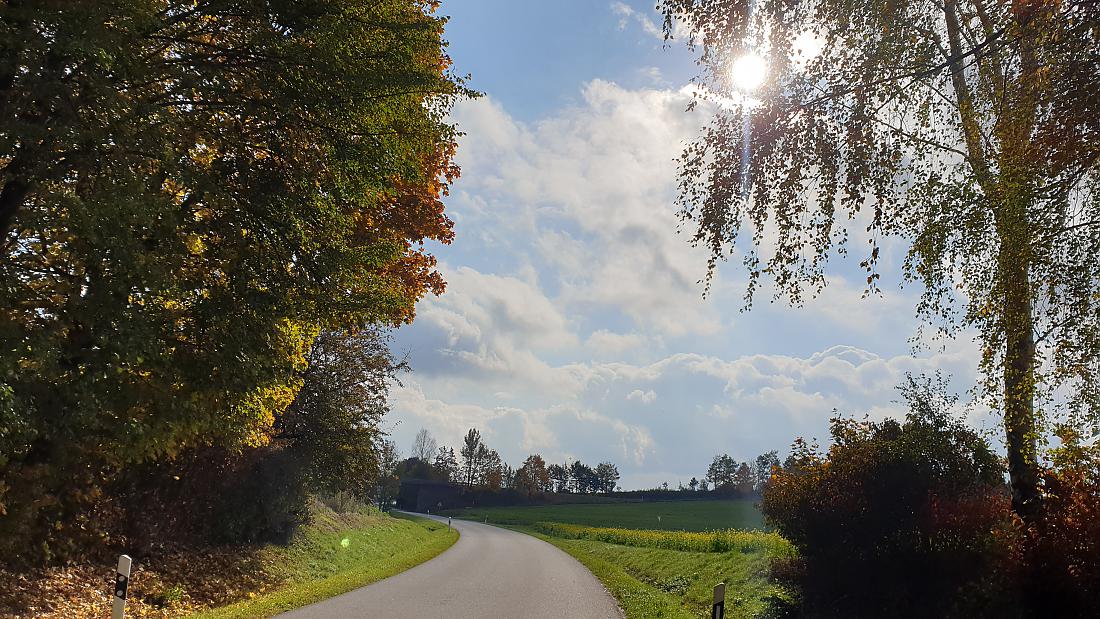 Foto: Martin Zehrer - Traumhafter Herbstspaziergang von Kemnath nach Immenreuth. Auch die Sonne kam raus... ;-) 
