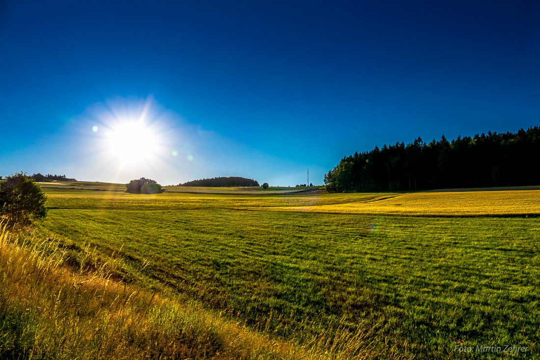 Foto: Martin Zehrer - Das Licht leuchte... Blick hoch zum Armesberg. Standort zwischen Trevesen und Godas. 