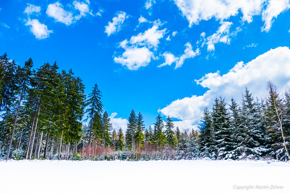 Foto: Martin Zehrer - Winter am 3. April 2015 zwischen Godas und Zwergau am Zissler droben. Ein paar Höhenmeter weiter unten blühen zum selben Zeitpunkt bereits die Blumen und die Wiesen grüne 