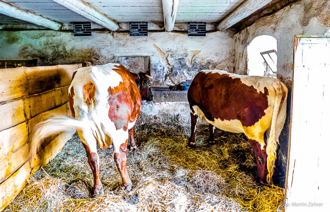 Foto: Martin Zehrer - Das Oberpfälzer Freilandmuseum Neusath-Perschen zeigt das Leben und Wohnen der Menschen in der Oberpfalz der vergangenen Jahrhunderte.<br />
Viele ehemalige Bauernhöfe wurden  