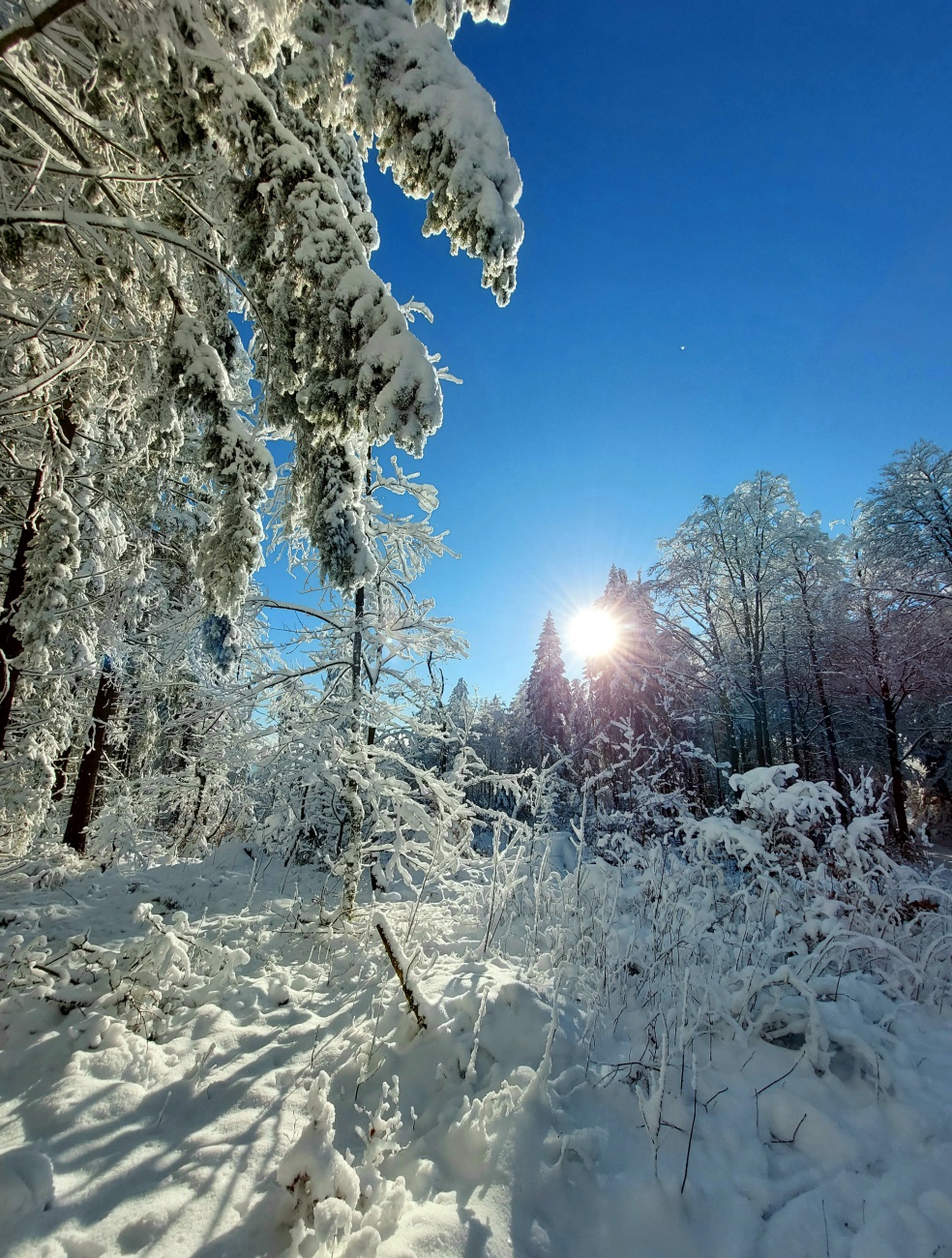 Foto: Martin Zehrer - Wunderschöne Winterzeit am 13. Dezember 2022, am Waldstein.<br />
<br />
Es war ein extrem sonniger, klarer Tag am Waldstein im Fichtelgebirge. <br />
Die Temperatur ging von Früh -16 G 