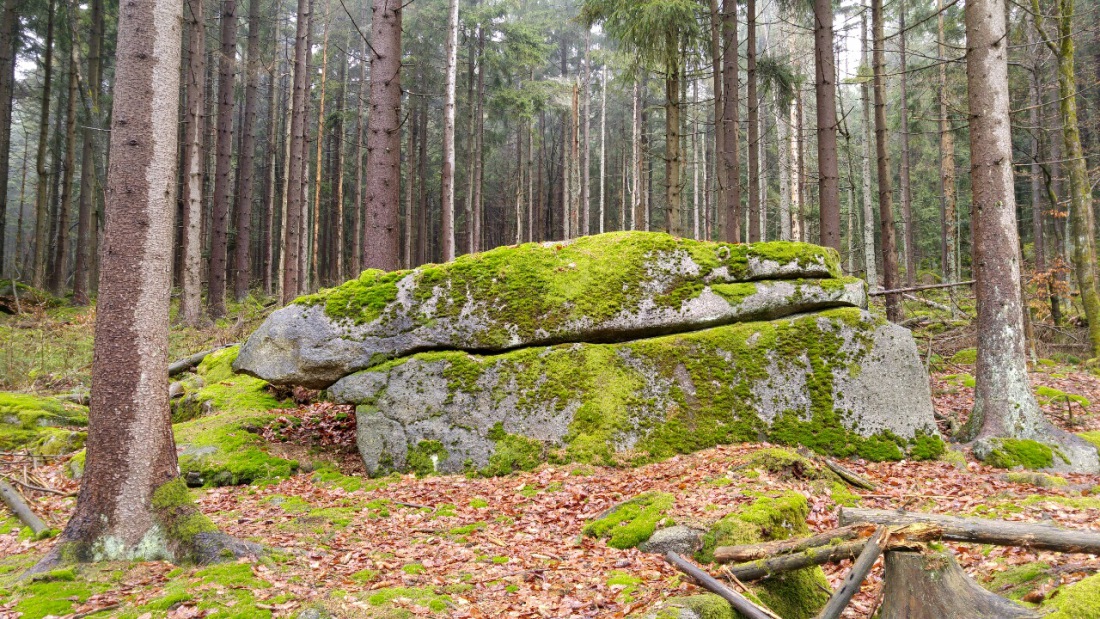 Foto: Martin Zehrer - Steinwald-Steine im Steinwald... Gesehen bei der Regenwanderung am 17. April 2016 