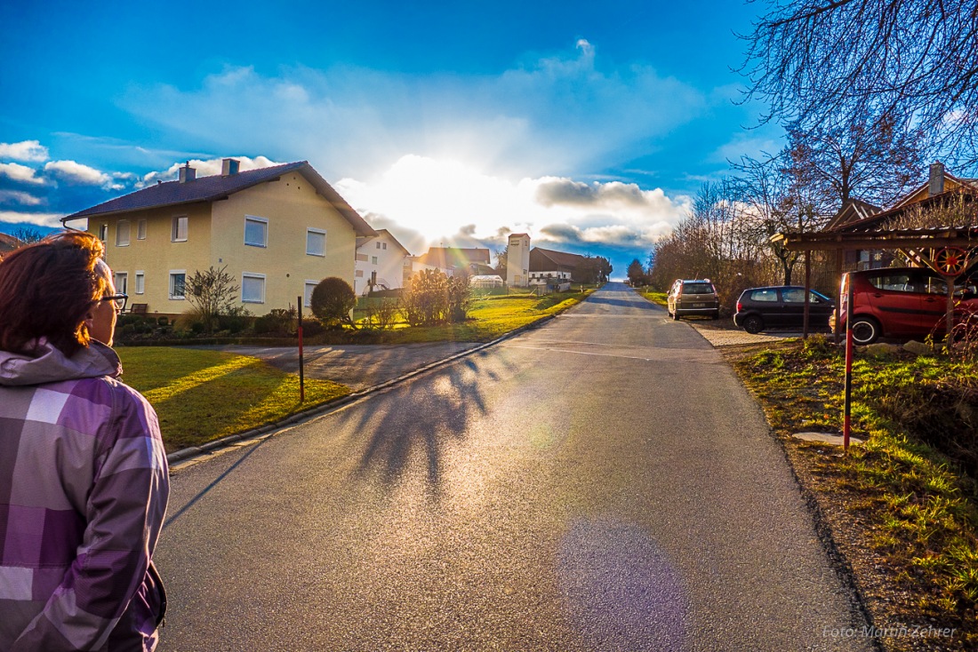 Foto: Martin Zehrer - Der Sonne entgegen... Höhof bei Roding, am 28. Dezember 2016 