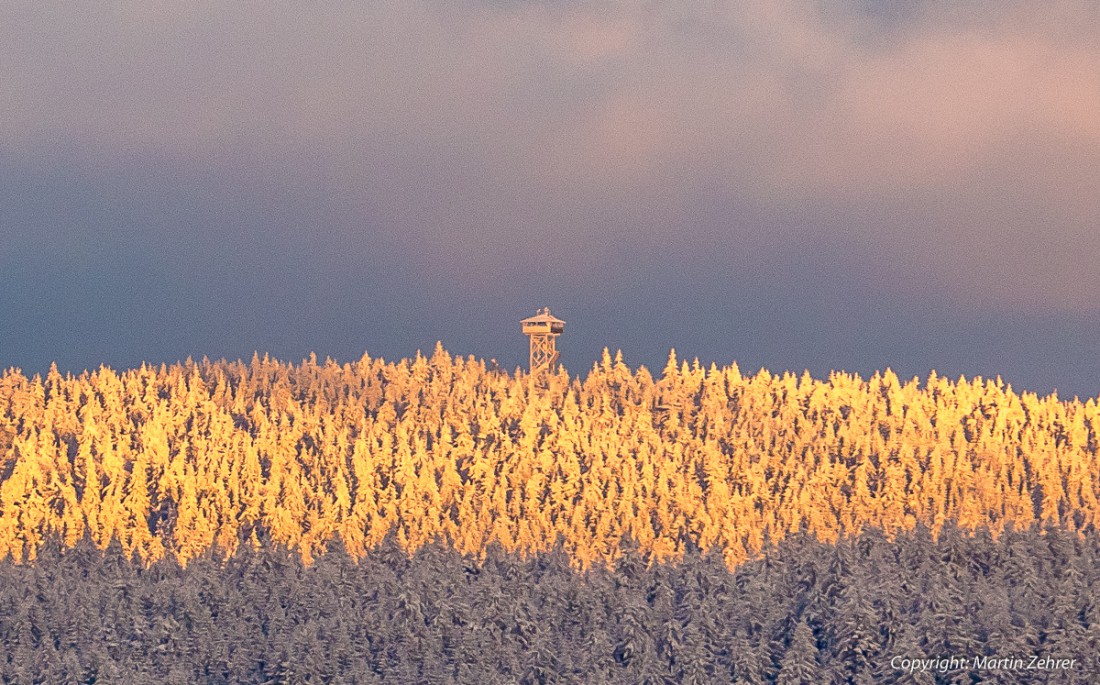 Foto: Martin Zehrer - Der Steinwald am 27. November 2015 von Godas aus fotografiert. Die Sonne steht sehr tief und ist kurz vorm Untergang. Nur noch wenige Strahlen treffen die Baumspitzen des 