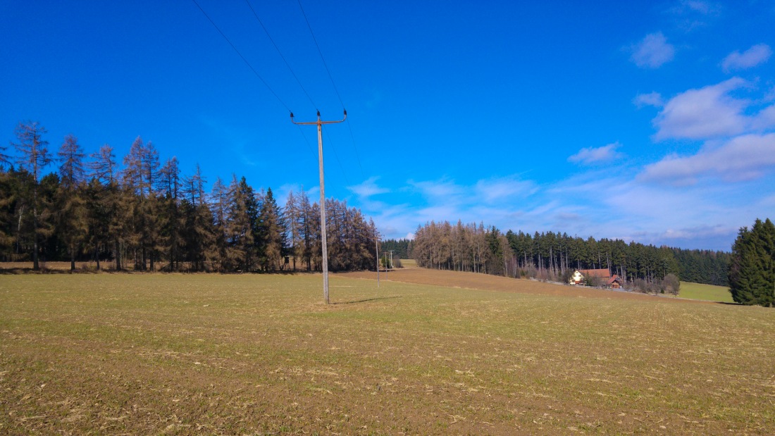 Foto: Martin Zehrer - Frühlings-Morgen-Wanderung am Zissler zwischen Godas und Zwergau...<br />
Blauer Himmel, Grüne Flecken und frischer Wind - es wird Frühling ;-)<br />
<br />
12.03.2017 