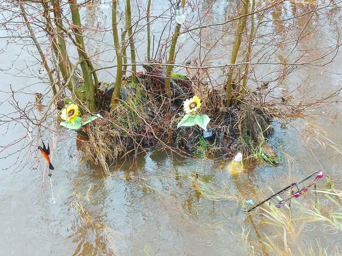 Foto: Martin Zehrer - Selbst von liebevoll aufgestellten Kunstwerken macht das Hochwasser der Naab nicht Halt. 