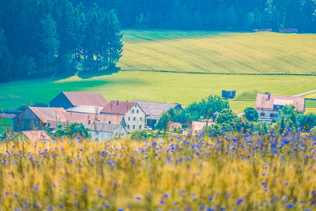 Foto: Martin Zehrer - Godas: Übern Acker wenn man schaut, erspäht man das heimliche Zentrum der Oberpfalz ;-) 