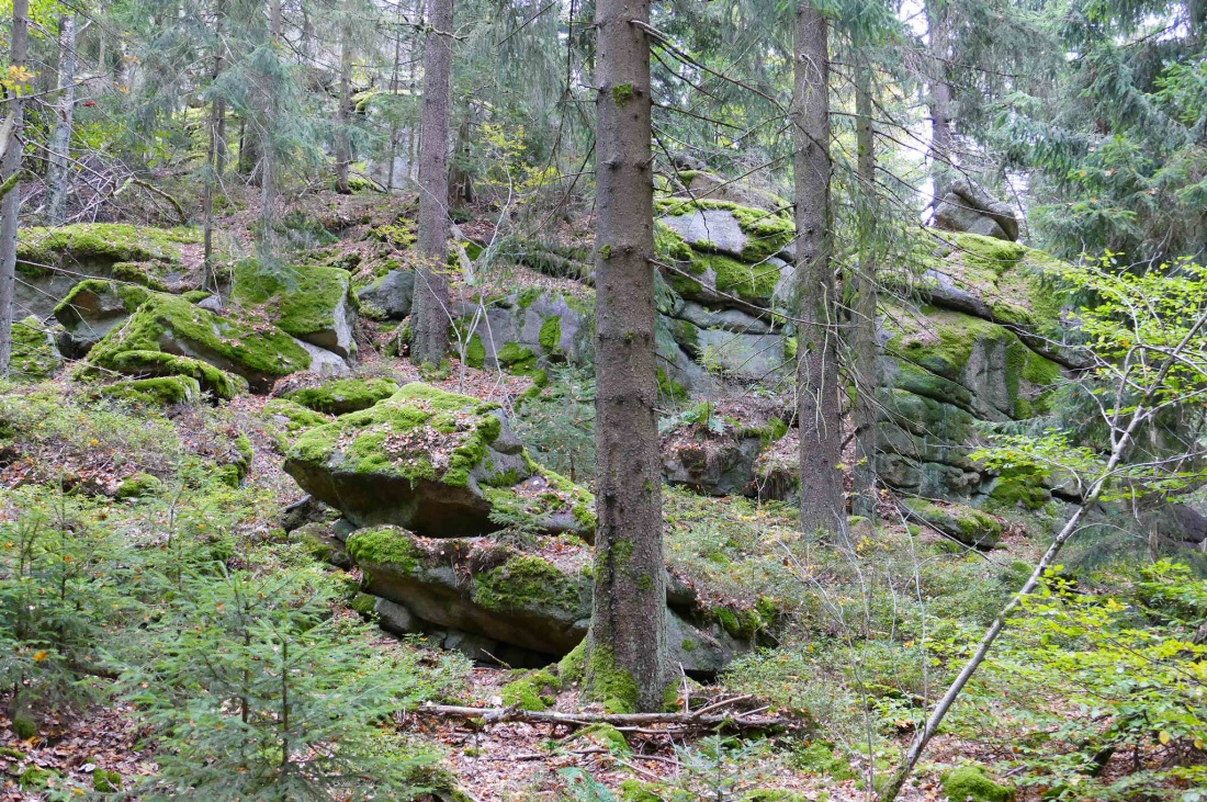 Foto: Martin Zehrer - Wandern im Steinwald<br />
<br />
Alles voller riesengroßer Steine im Stein-Wald 
