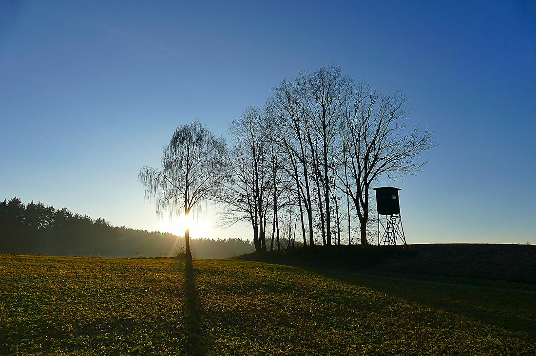 Foto: Martin Zehrer - 1. Januar 2020 - Ein toller Tag geht zu Ende ;-) 