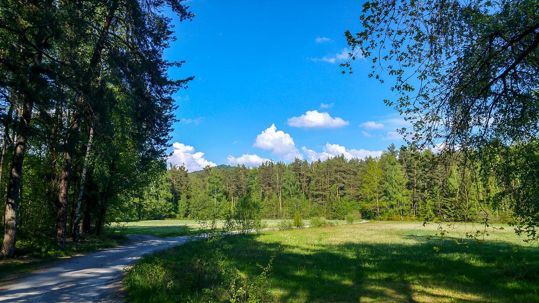 Foto: Martin Zehrer - Endlich wieder tolles Wetter... Was für ein Tag! 19. Mai 2019 