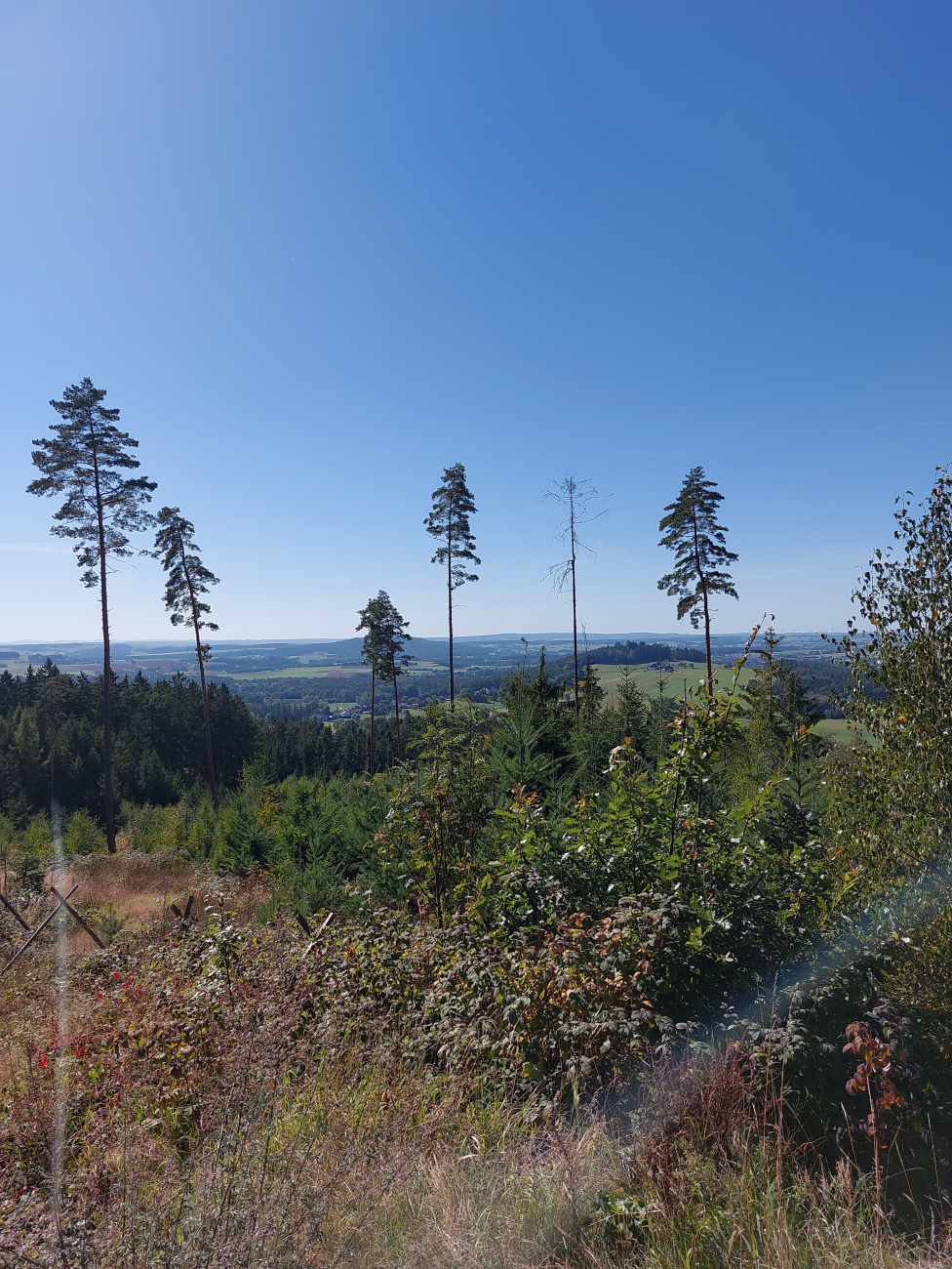 Foto: Martin Zehrer - Die dargestellte Aussicht zeigt eine beeindruckende Landschaft mit einer vielfältigen Flora, die auf eine harmonische Verbindung von Natur und Landschaftsgestaltung hinwe 