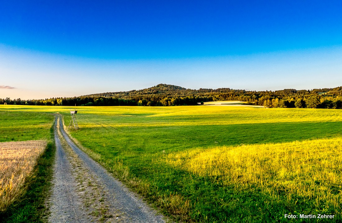 Foto: Martin Zehrer - Das Anzensteinland in der Abendsonne... Der Blick geht von der Ortschaft Anzenstein in Richtung Armesberg... 