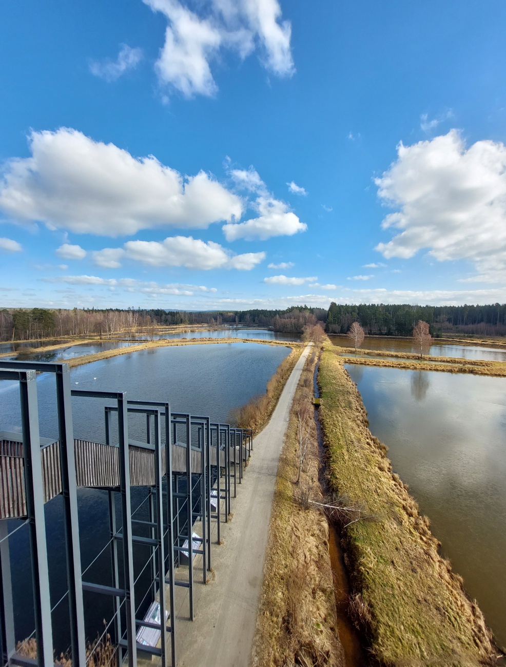 Foto: Martin Zehrer - Auf zur Himmelsleiter bei Tirschenreuth. Herrliches Wetter, beste Aussicht, der Frühling liegt in der frischen Luft. 