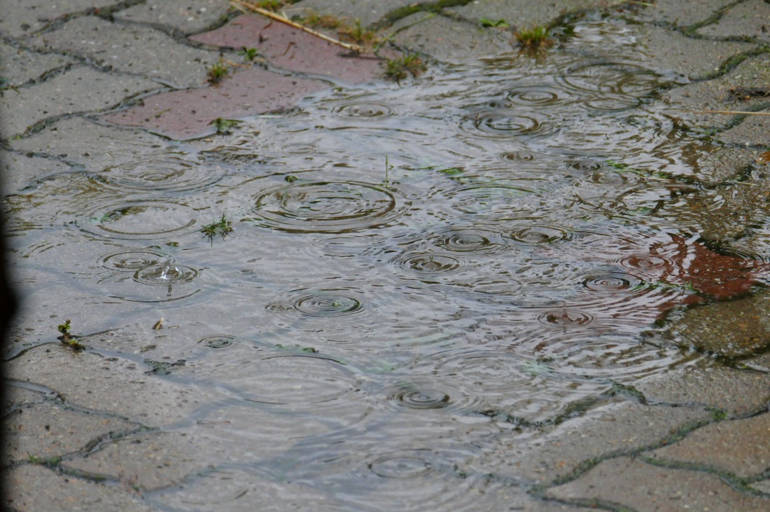 Foto: Martin Zehrer - Herbstlicher Regen nach ein paar sehr sommerlichen Tagen mit über 30 Grad Temperatur - die heisse Zeit dürfte für dieses Jahr vorbei sein... 17. September 2016 