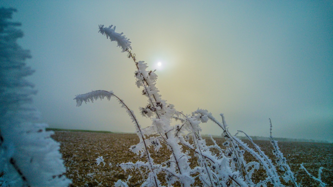 Foto: Martin Zehrer - Rauh-Reif für die Insel... ;-)<br />
<br />
Wetter am 7. Dezember 2016 