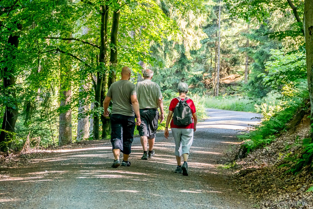 Foto: Martin Zehrer - Wanderer im Steinwald 