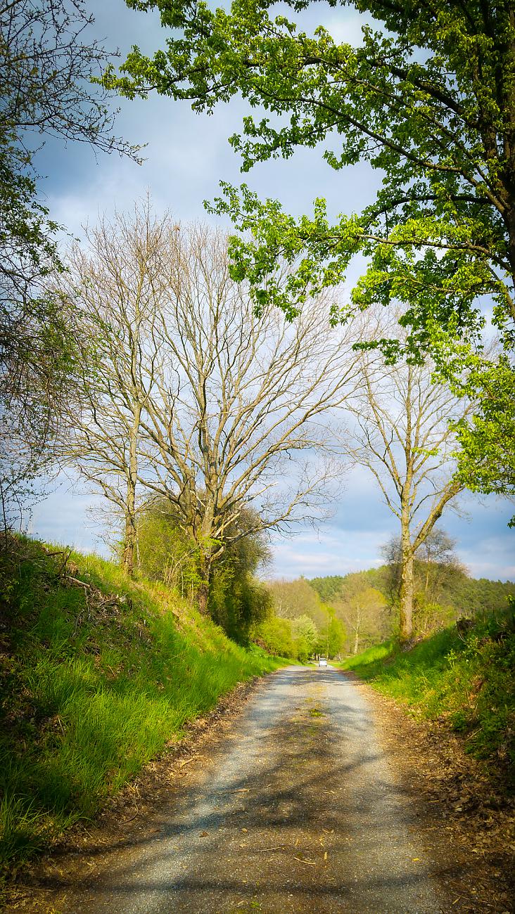 Foto: Martin Zehrer - Top-Erster-Mai-Laufwetter ;-)<br />
<br />
1. Mai 2019  