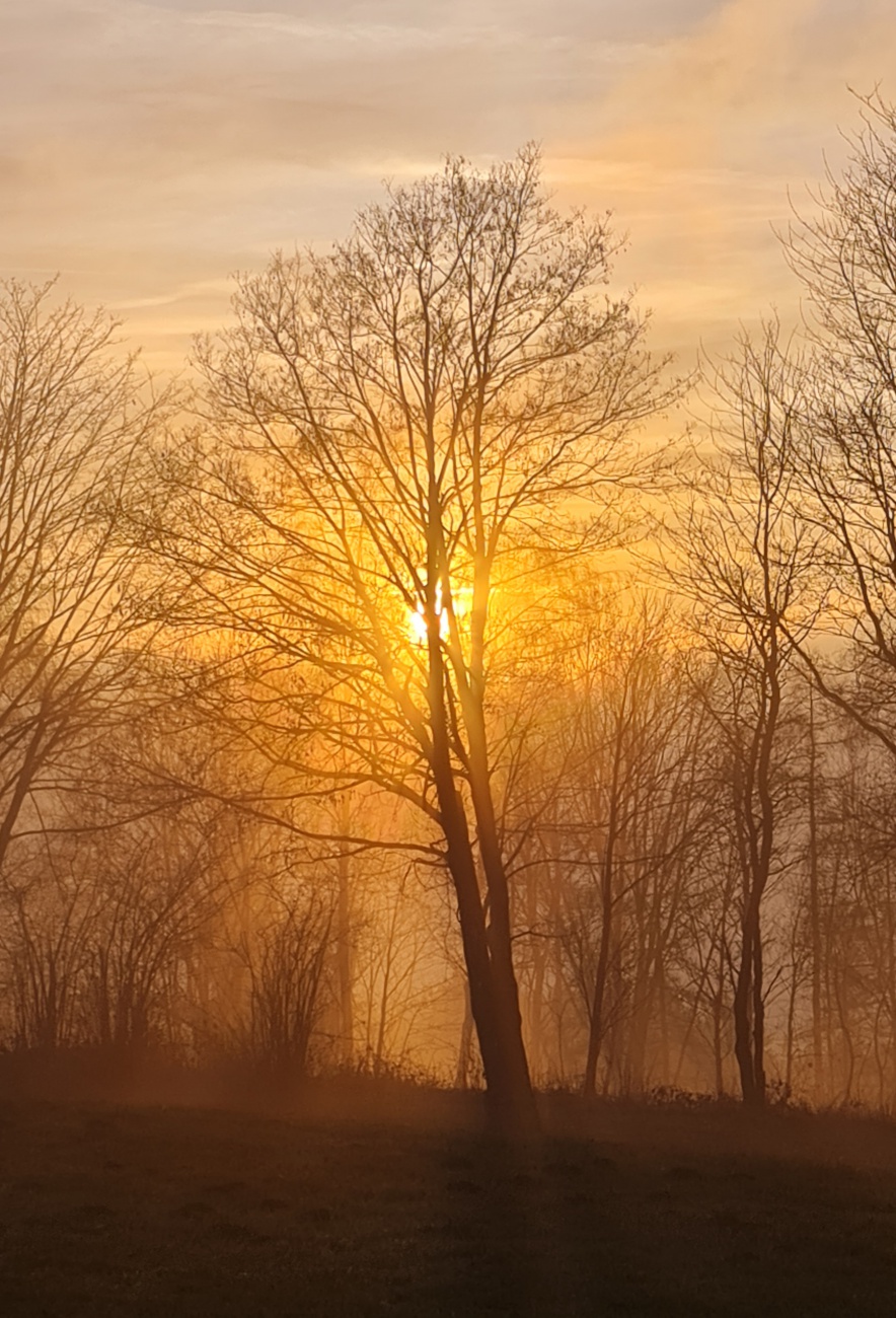 Foto: Jennifer M&uuml;ller - Heute hatten wir richtig Gl&uuml;ck! Die Sonne hat sich gezeigt... f&uuml;r einen kurzen Augenblick. Die Natur hat uns wunderbare Momente geschenkt.  